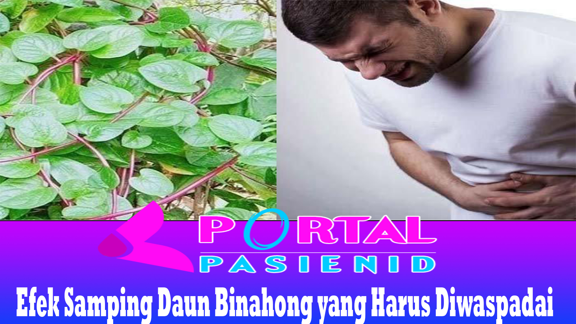 Efek Samping Daun Binahong yang Harus Diwaspadai