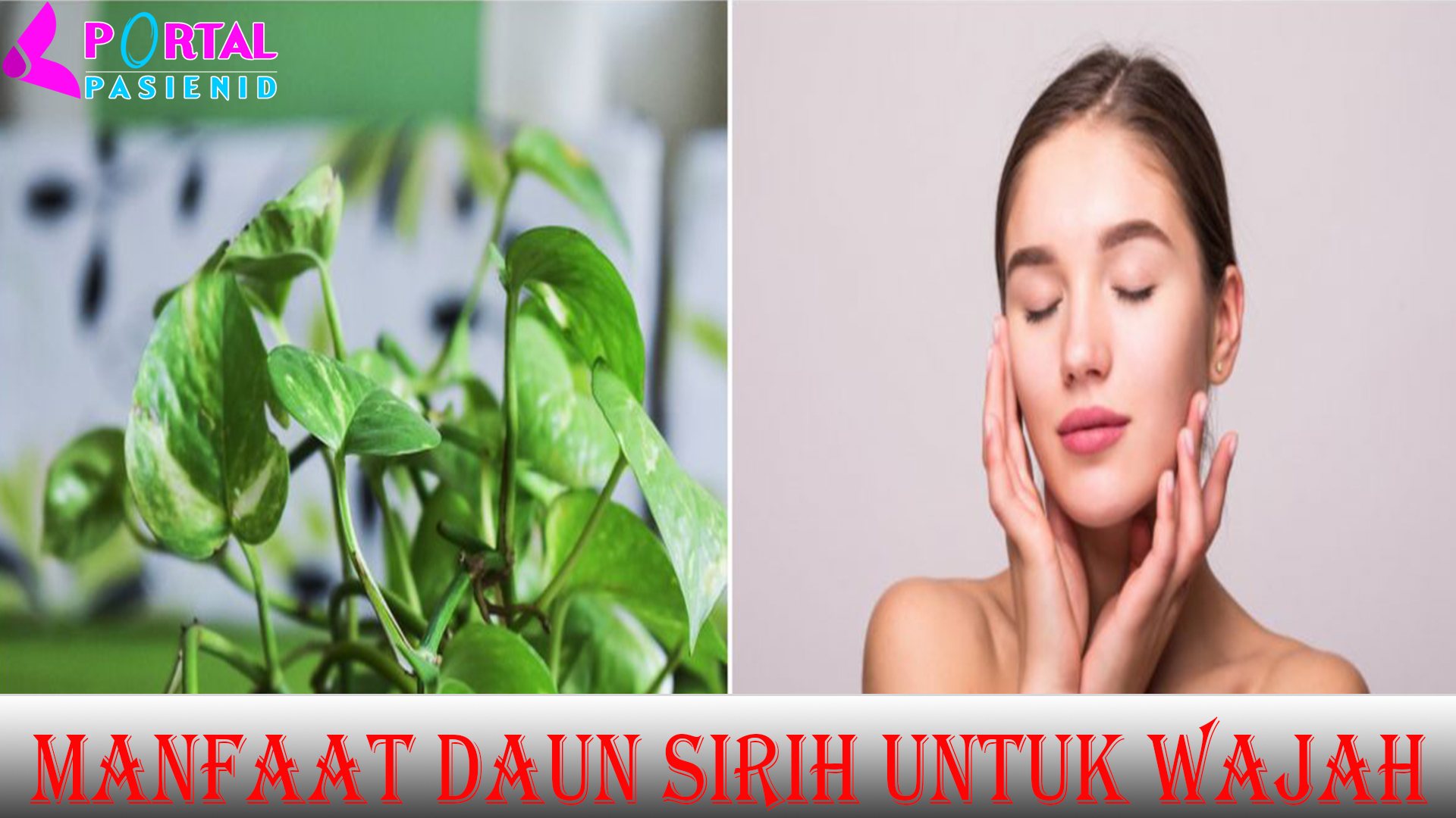 Manfaat Daun Sirih untuk Wajah