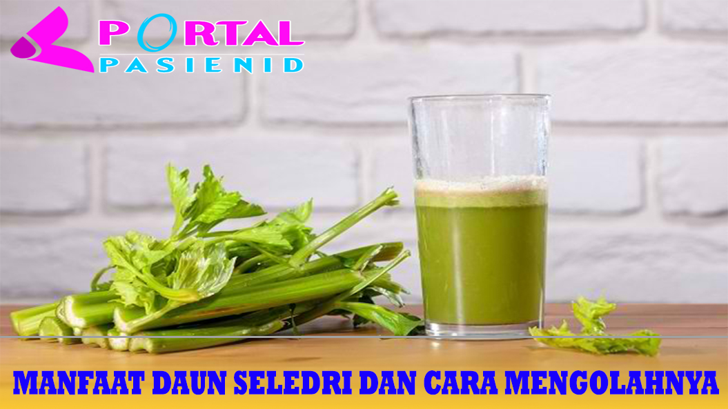 Manfaat Daun Seledri dan Cara Mengolahnya