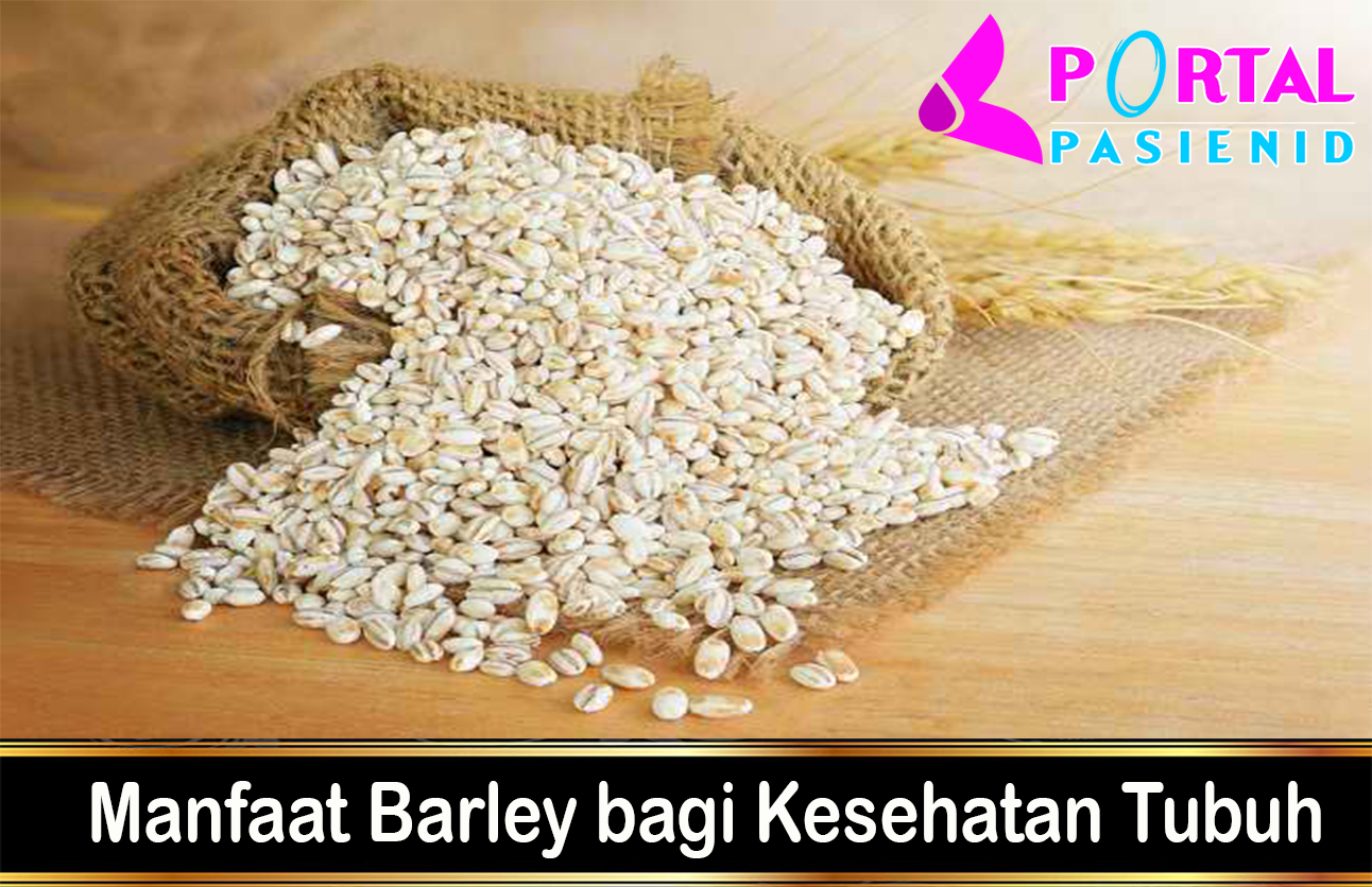 Manfaat Barley bagi Kesehatan Tubuh