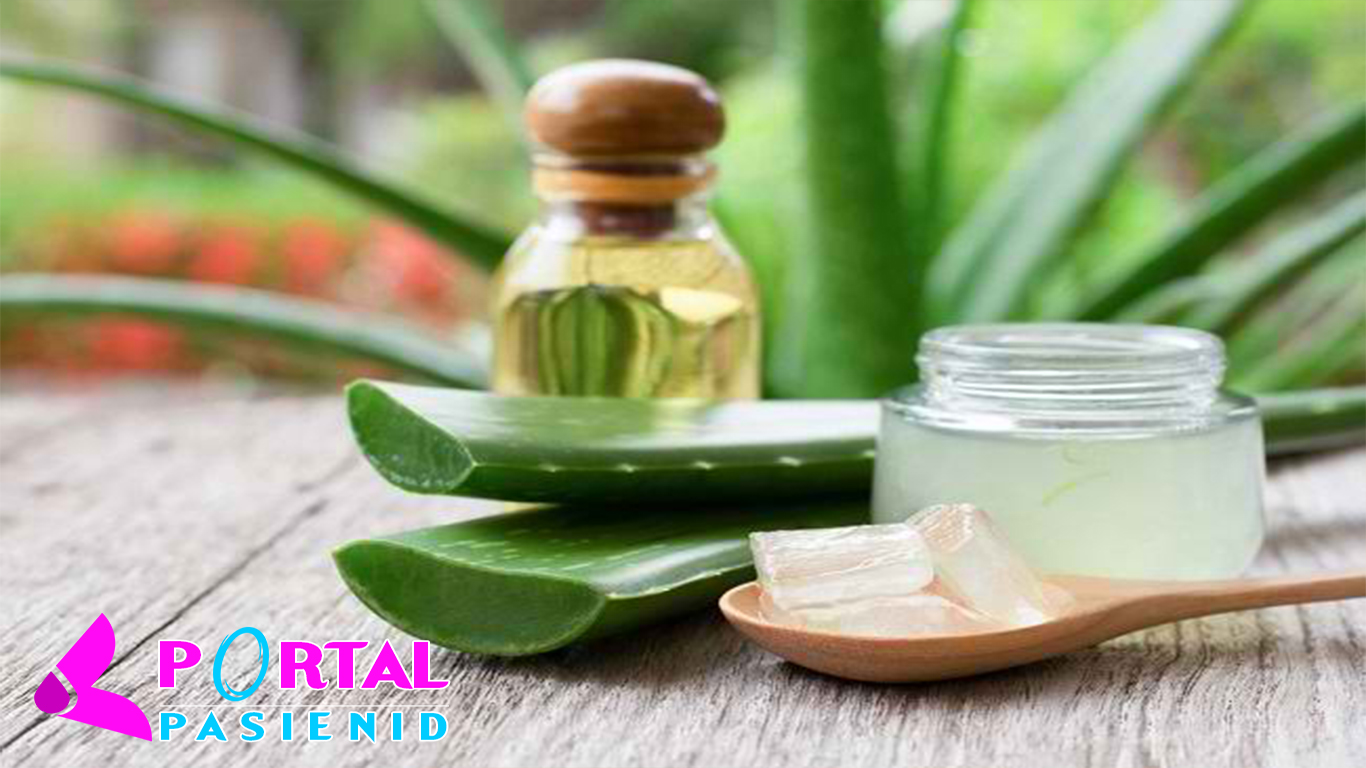 Jangan Terlewatkan 7 Manfaat Lidah Buaya untuk Kulit Berikut Ini
