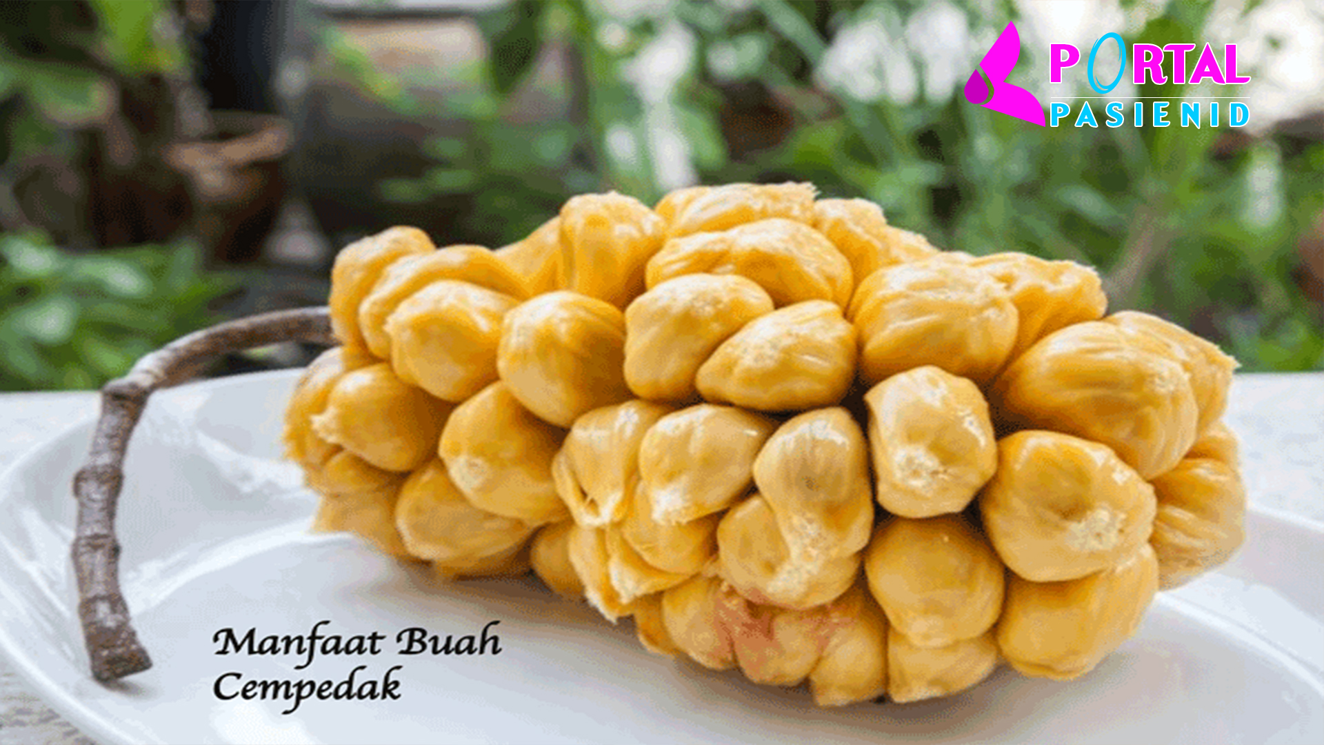 5 Manfaat Cempedak untuk Kesehatan