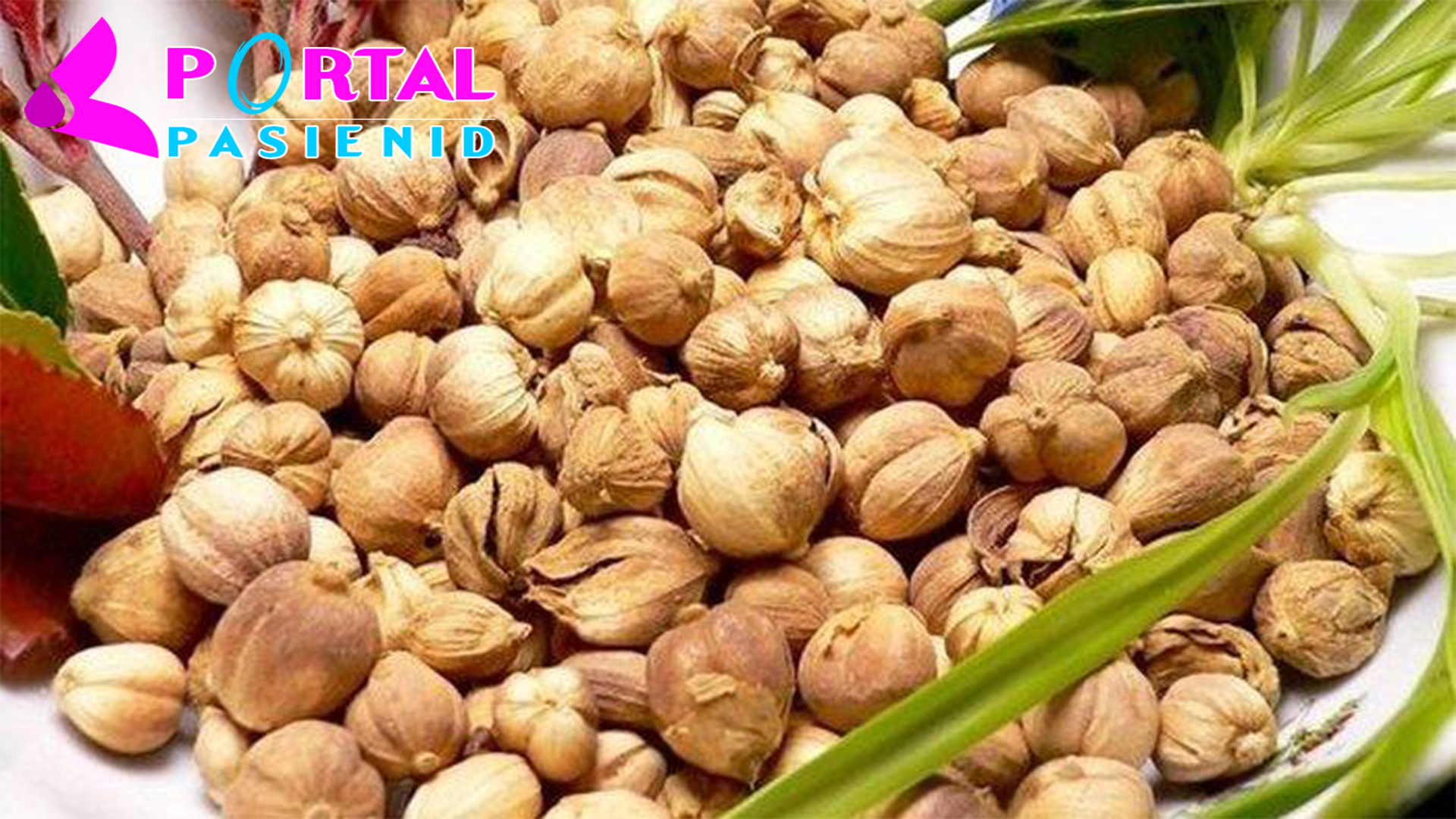 Manfaat Kapulaga: untuk daya tahan tubuh & cegah penyakit