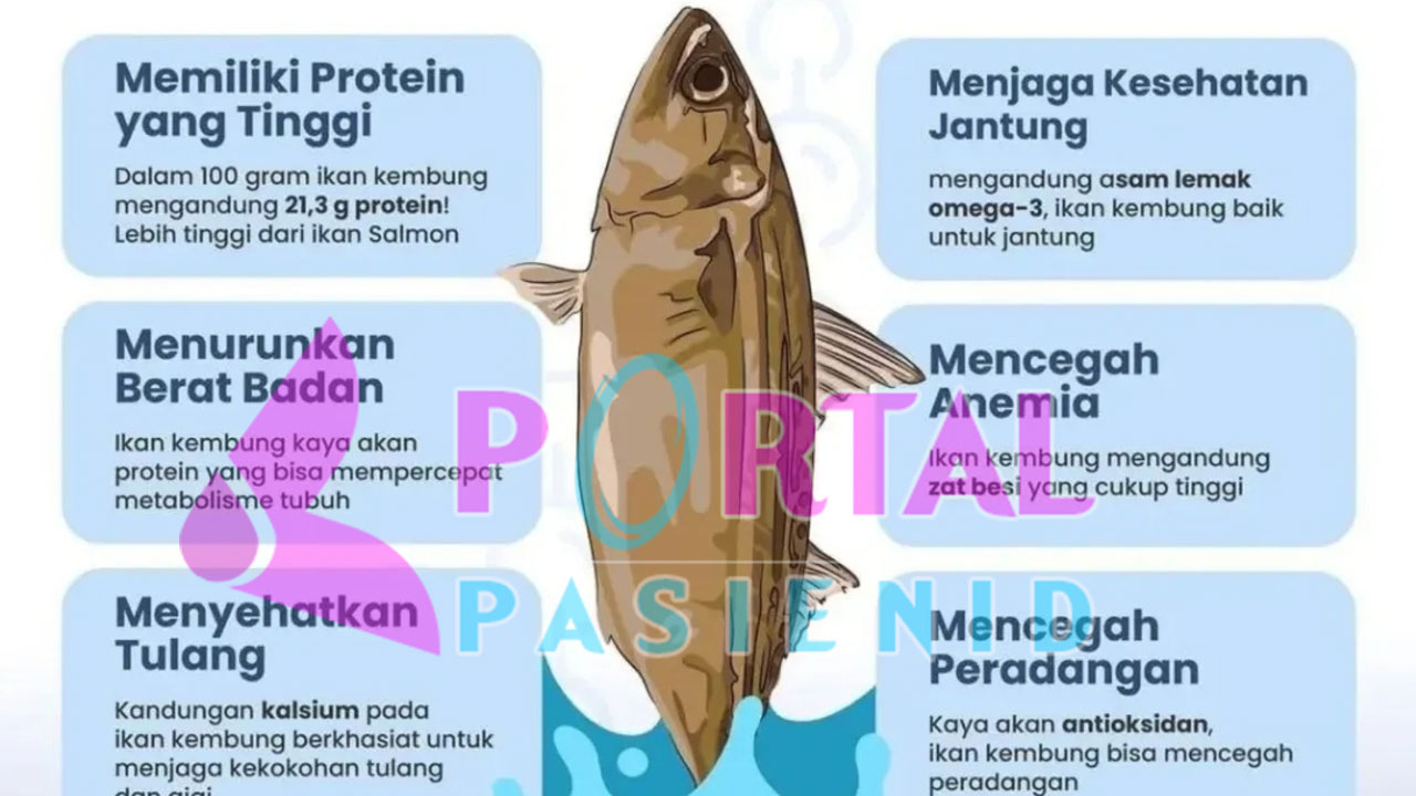 Ikan Murah, Solusi Cerdas untuk Penuhi Gizi Harian