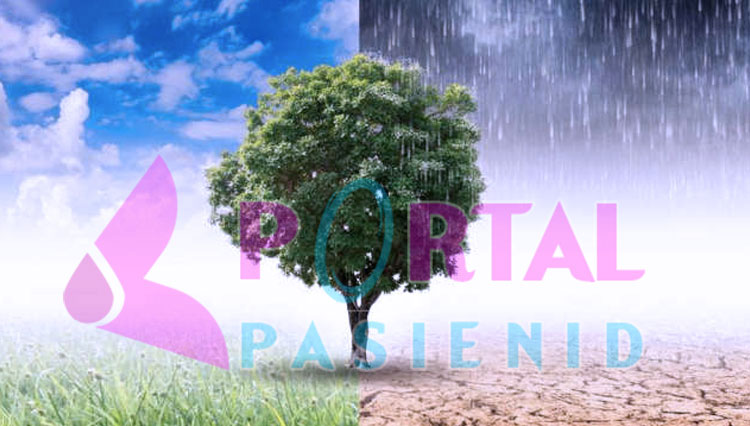 Pancaroba: Drama Cuaca yang Tak Terduga